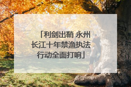 利剑出鞘 永州长江十年禁渔执法行动全面打响