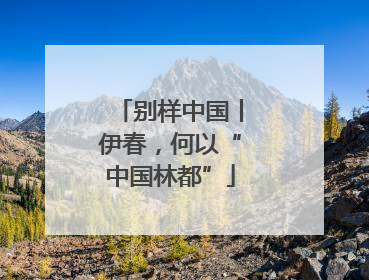 别样中国丨伊春，何以“中国林都”