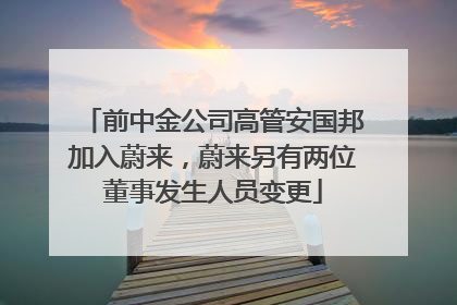 前中金公司高管安国邦加入蔚来，蔚来另有两位董事发生人员变更