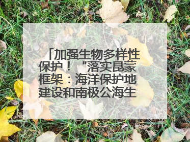 加强生物多样性保护！“落实昆蒙框架：海洋保护地建设和南极公海生态保护”主题论坛将举办