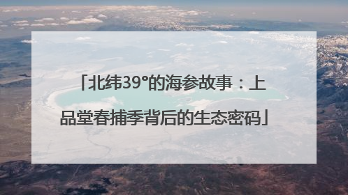 北纬39°的海参故事：上品堂春捕季背后的生态密码