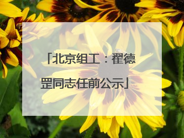 北京组工：翟德罡同志任前公示