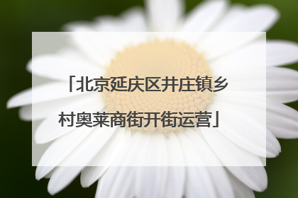 北京延庆区井庄镇乡村奥莱商街开街运营