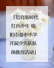 培育新时代红色少年 绵阳市桑枣小学开展少先队队前教育活动