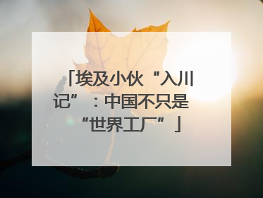 埃及小伙“入川记”：中国不只是“世界工厂”