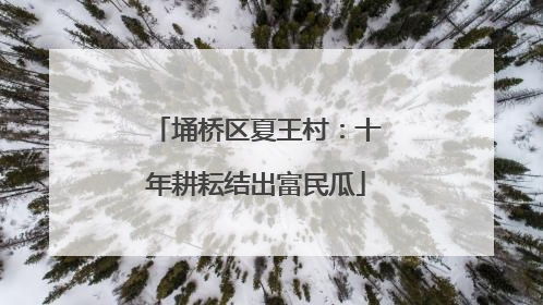 埇桥区夏王村：十年耕耘结出富民瓜