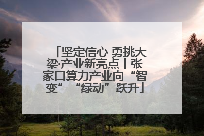 坚定信心 勇挑大梁·产业新亮点丨张家口算力产业向“智变”“绿动”跃升