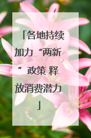 各地持续加力“两新”政策 释放消费潜力