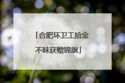 合肥环卫工拾金不昧获赠锦旗