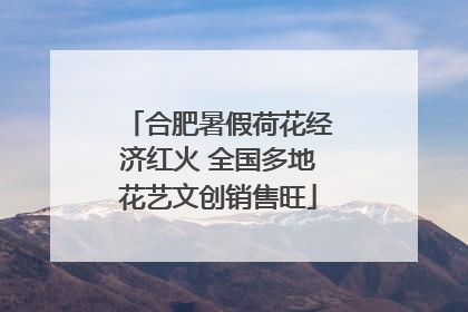 合肥暑假荷花经济红火 全国多地花艺文创销售旺