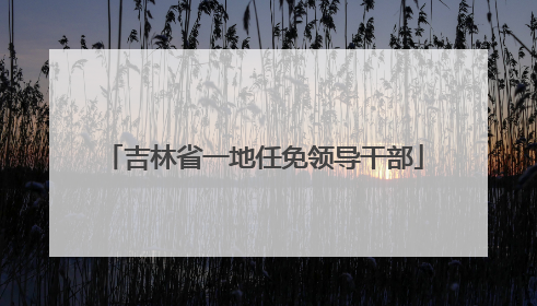 吉林省一地任免领导干部