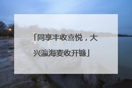 同享丰收喜悦，大兴瀛海麦收开镰