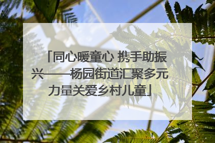 同心暖童心 携手助振兴——杨园街道汇聚多元力量关爱乡村儿童
