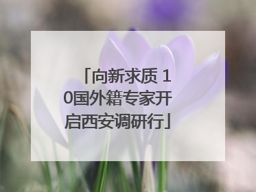向新求质 10国外籍专家开启西安调研行