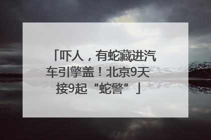 吓人，有蛇藏进汽车引擎盖！北京9天接9起“蛇警”