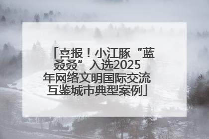 喜报！小江豚“蓝叒叒”入选2025年网络文明国际交流互鉴城市典型案例