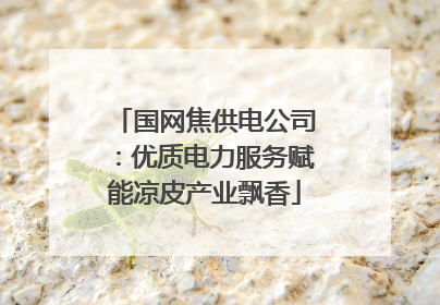 国网焦供电公司：优质电力服务赋能凉皮产业飘香
