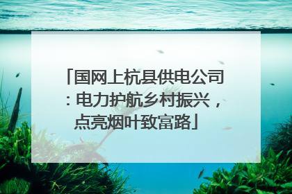 国网上杭县供电公司：电力护航乡村振兴，点亮烟叶致富路