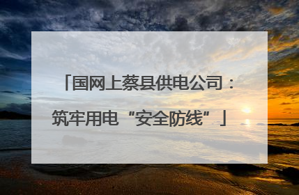 国网上蔡县供电公司：筑牢用电“安全防线”