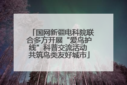 国网新疆电科院联合多方开展“爱鸟护线”科普交流活动 共筑鸟类友好城市