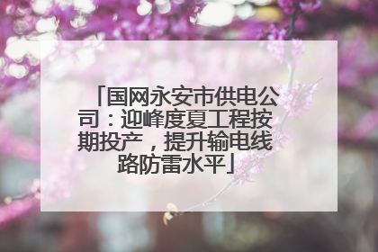 国网永安市供电公司：迎峰度夏工程按期投产，提升输电线路防雷水平