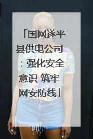 国网遂平县供电公司：强化安全意识 筑牢网安防线