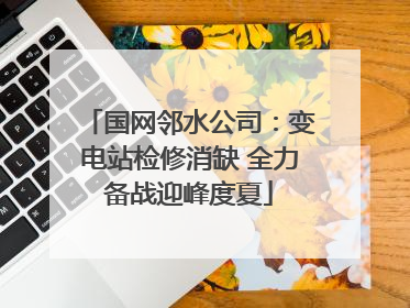 国网邻水公司：变电站检修消缺 全力备战迎峰度夏