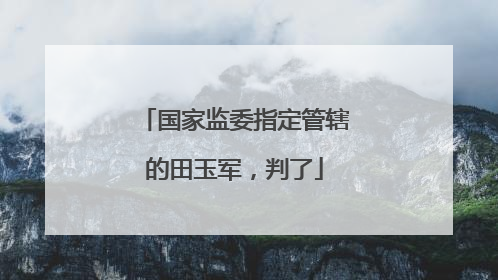 国家监委指定管辖的田玉军，判了