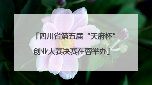 四川省第五届“天府杯”创业大赛决赛在蓉举办