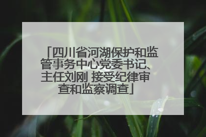 四川省河湖保护和监管事务中心党委书记、主任刘刚 接受纪律审查和监察调查