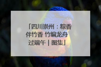 四川崇州：粽香伴竹香 竹编龙舟过端午｜图集