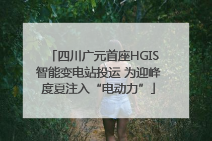 四川广元首座HGIS智能变电站投运 为迎峰度夏注入“电动力”