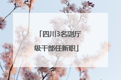 四川3名副厅级干部任新职