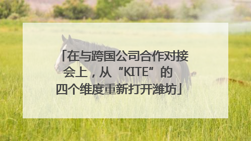 在与跨国公司合作对接会上，从“KITE”的四个维度重新打开潍坊
