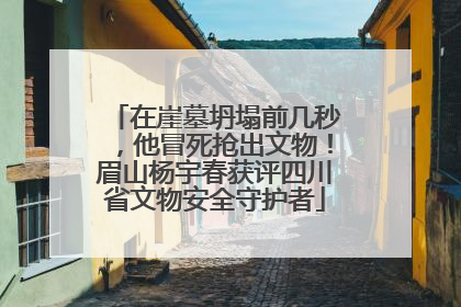 在崖墓坍塌前几秒，他冒死抢出文物！眉山杨宇春获评四川省文物安全守护者