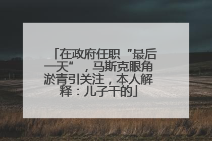 在政府任职“最后一天”，马斯克眼角淤青引关注，本人解释：儿子干的
