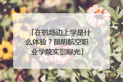 在机场边上学是什么体验？昆明航空职业学院实景曝光
