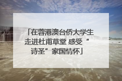 在蓉港澳台侨大学生走进杜甫草堂 感受“诗圣”家国情怀