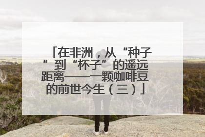 在非洲，从“种子”到“杯子”的遥远距离——一颗咖啡豆的前世今生（三）