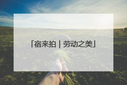 宿来拍｜劳动之美