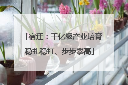 宿迁：千亿级产业培育稳扎稳打、步步攀高