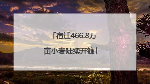 宿迁466.8万亩小麦陆续开镰