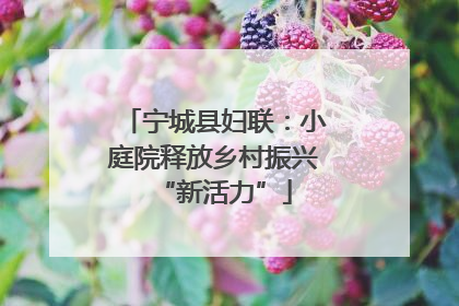 宁城县妇联：小庭院释放乡村振兴“新活力”