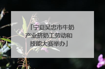 宁夏吴忠市牛奶产业挤奶工劳动和技能大赛举办