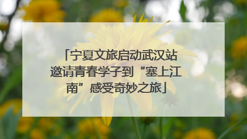 宁夏文旅启动武汉站 邀请青春学子到“塞上江南”感受奇妙之旅