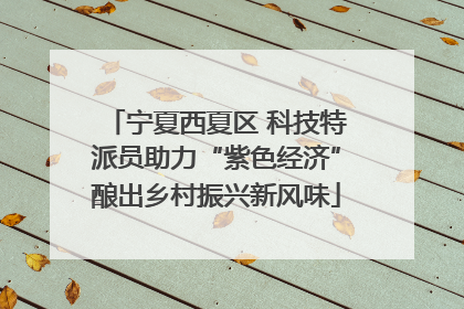 宁夏西夏区 科技特派员助力“紫色经济”酿出乡村振兴新风味