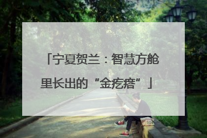 宁夏贺兰：智慧方舱里长出的“金疙瘩”