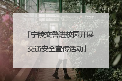 宁陵交警进校园开展交通安全宣传活动