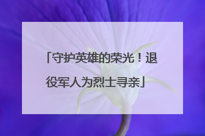 守护英雄的荣光！退役军人为烈士寻亲