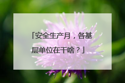 安全生产月，各基层单位在干啥？